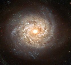 Spiral Galaxy NGC 3982 фото
